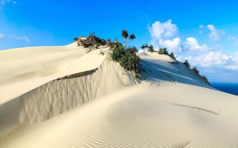 Đồi cát Từ Nham – Trải nghiệm "sahara" phiên bản Phú Yên