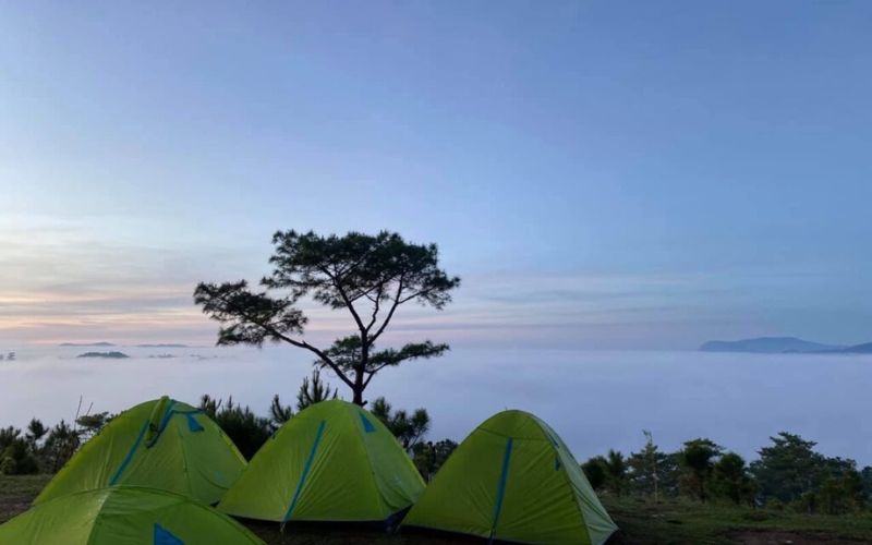 Cắm trại và tổ chức picnic