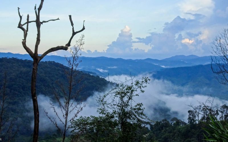 Tìm hiểu Măng Đen nằm ở đâu