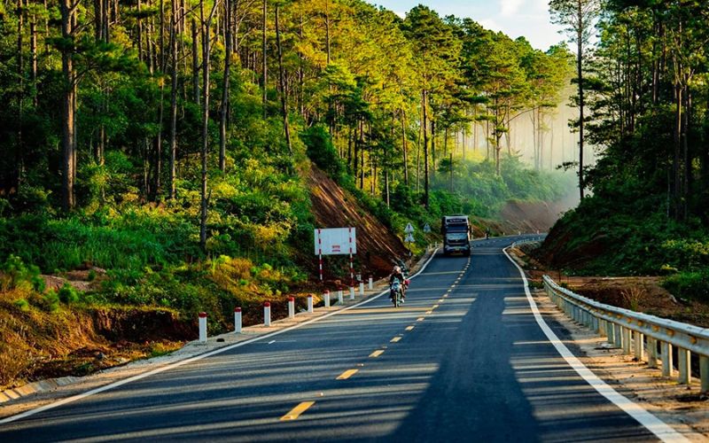 Rừng thông Măng Đen – Thiên đường cắm trại giữa rừng cây xanh