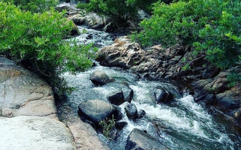 Suối Lồ Ồ – suối nước trong vắt giữa rừng khô
