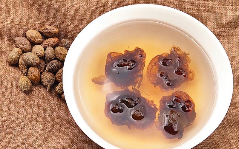 Trái ươi rừng – vị thuốc quý từ thiên nhiên