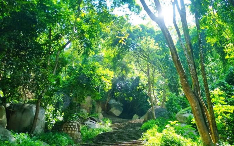 Trekking núi Thị Vải – hành trình thử thách và truyền cảm hứng