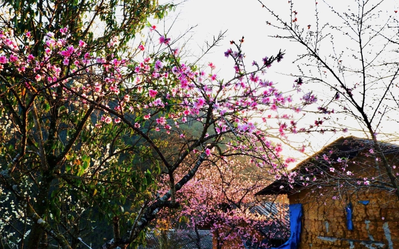 Du lịch Hà Giang tháng 1