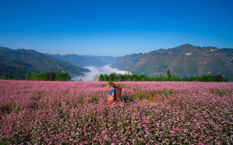 Du lịch Hà Giang tháng 11