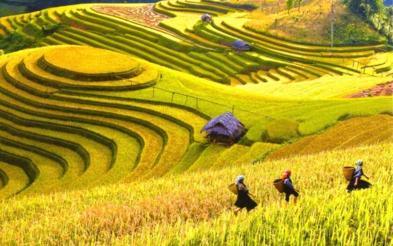 Du lịch Hà Giang tháng 8, 9