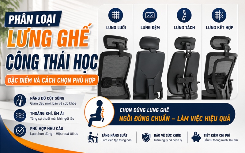 phân loại lưng ghế công thái học